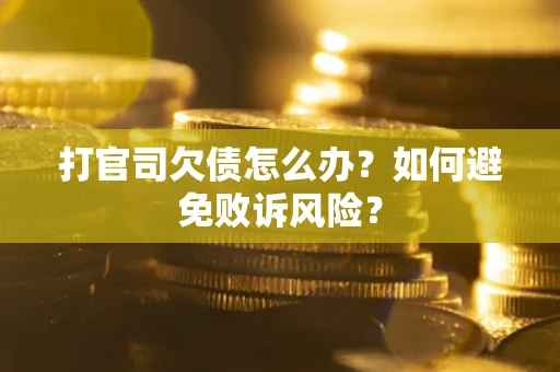 北京打官司欠债怎么办？如何避免败诉风险？