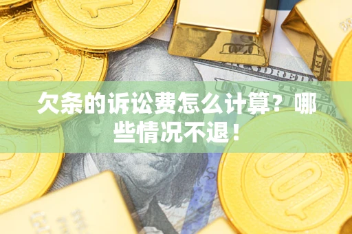 北京欠条的诉讼费怎么计算？哪些情况不退！